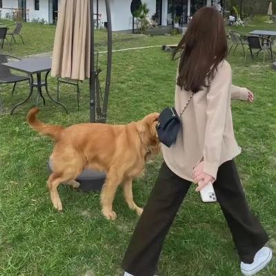 蝶舞莺歌