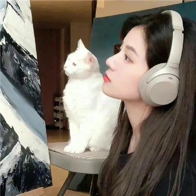 保真度